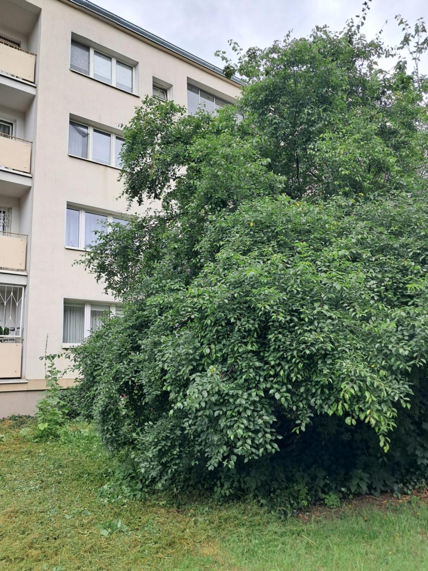 Apartament Mokotow *